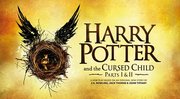 Harry Potter and the cursed Child